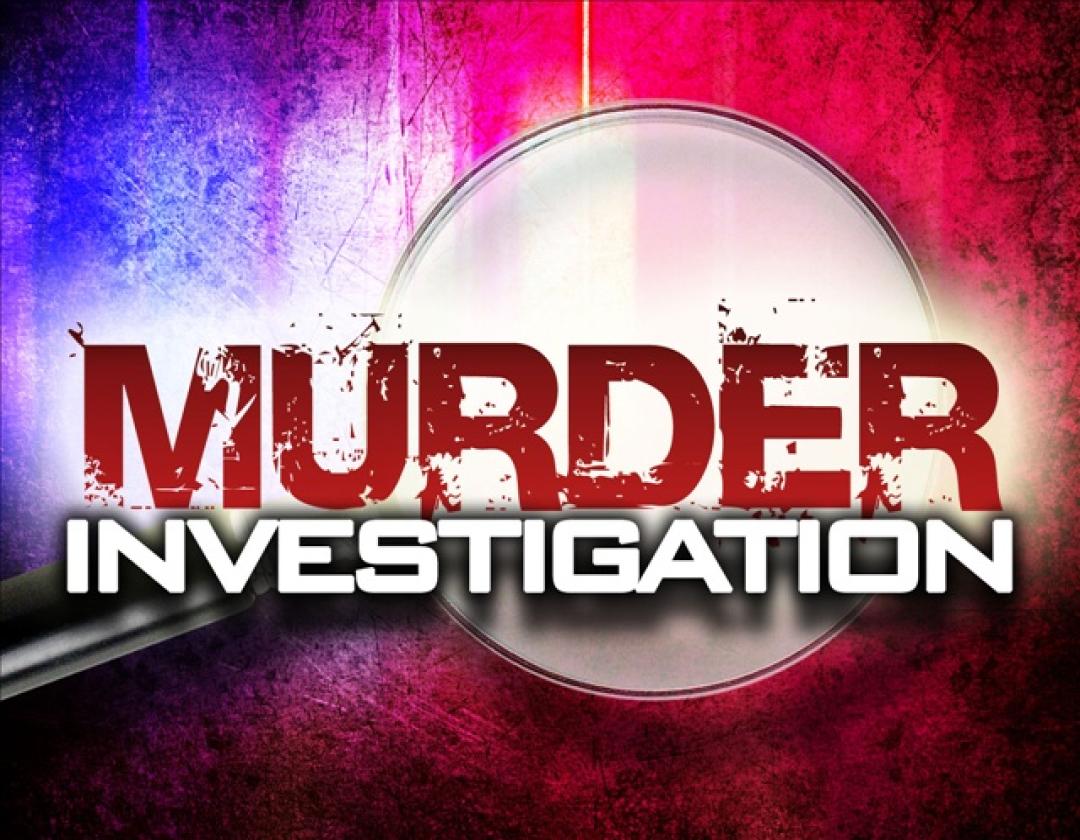 70 year old man allegedly murdered by son