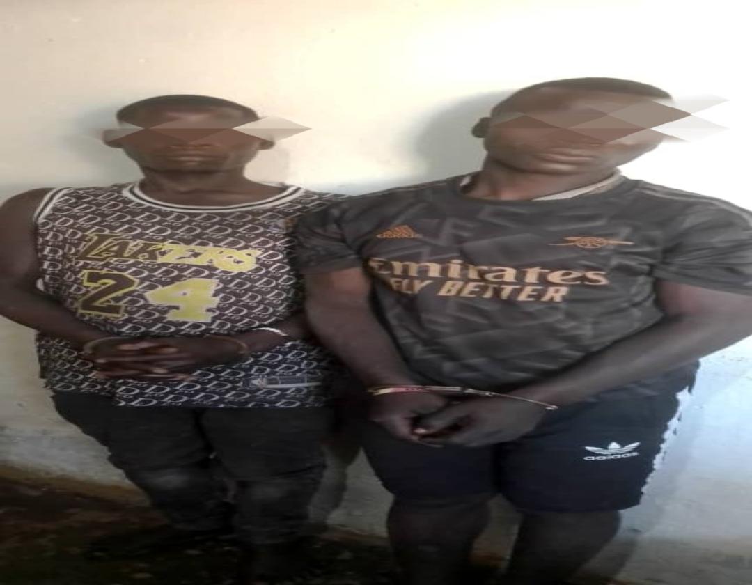 Two arrested over theft  of three cows in Nakasongola