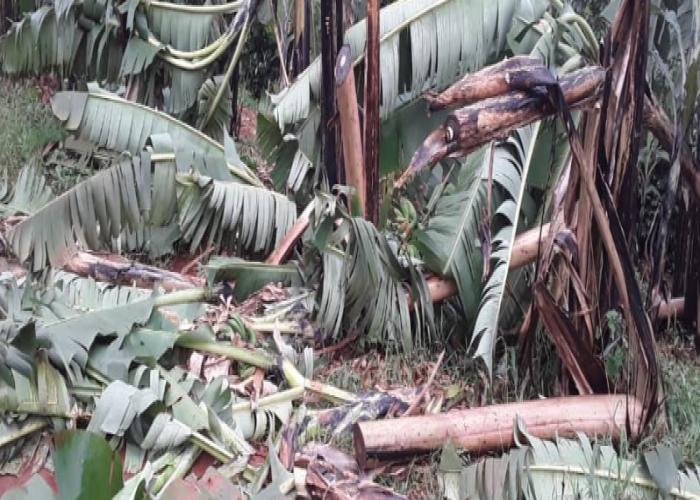 Severe Hailstorms Devastate Bushenyi, Leaving Families Facing Starvation