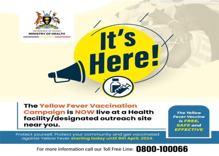 Vaccination against Yellow Fever commences