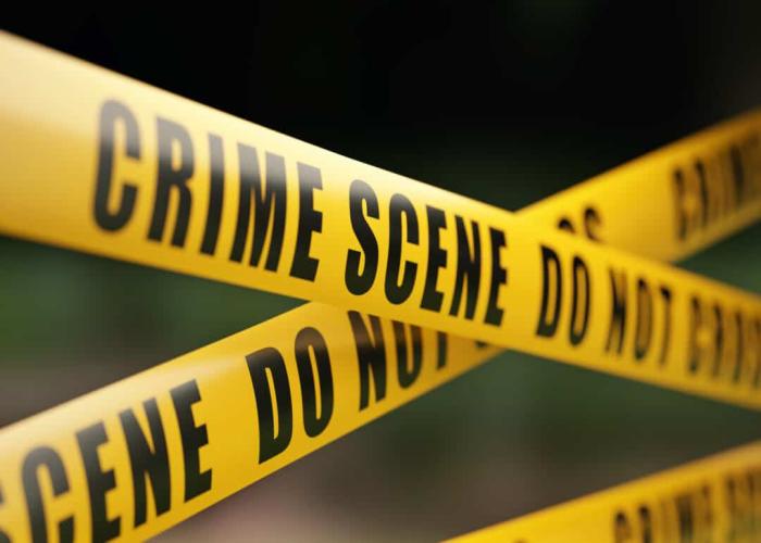 56-year-old woman arrested over killing grandson