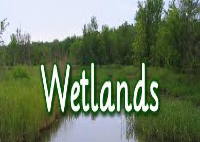 Mitooma Leaders Urged to Champion Wetland Restoration Efforts